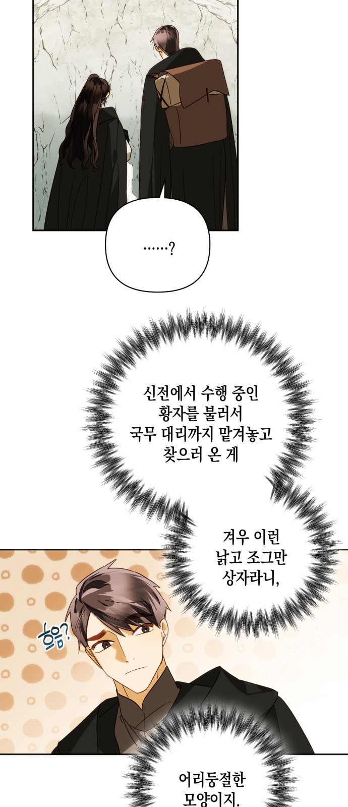 30 페이지