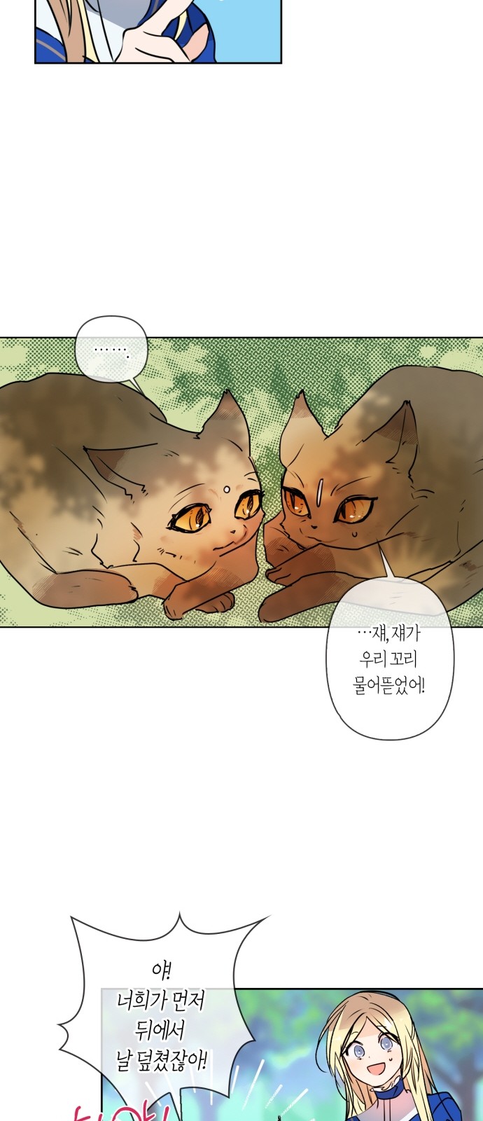 11 페이지