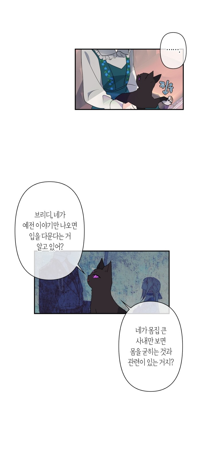 13 페이지