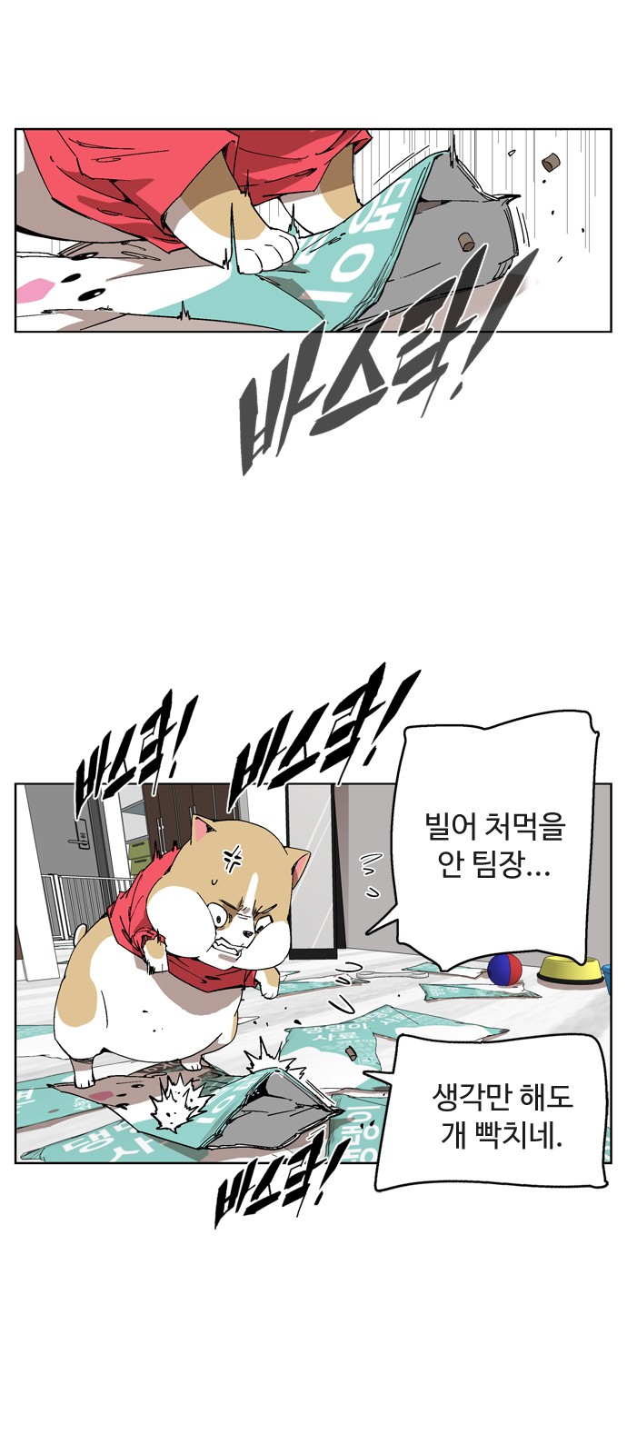 13 페이지