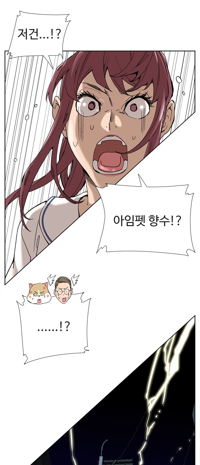 14 페이지
