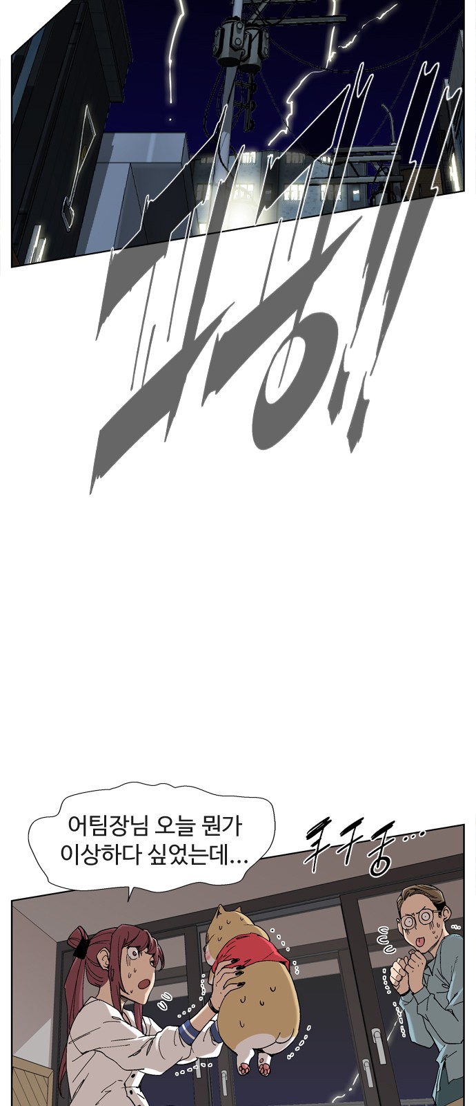 15 페이지