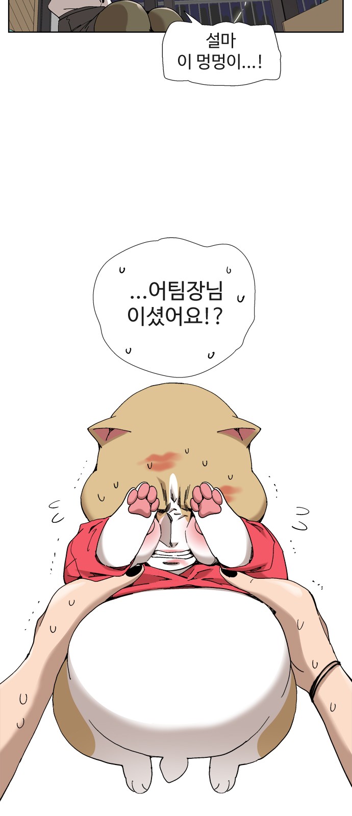 16 페이지