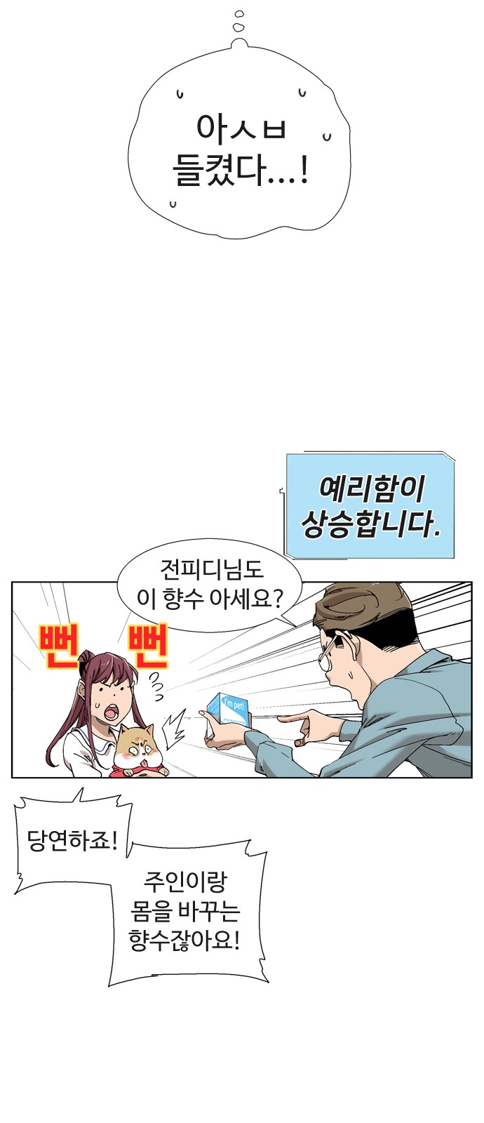 17 페이지