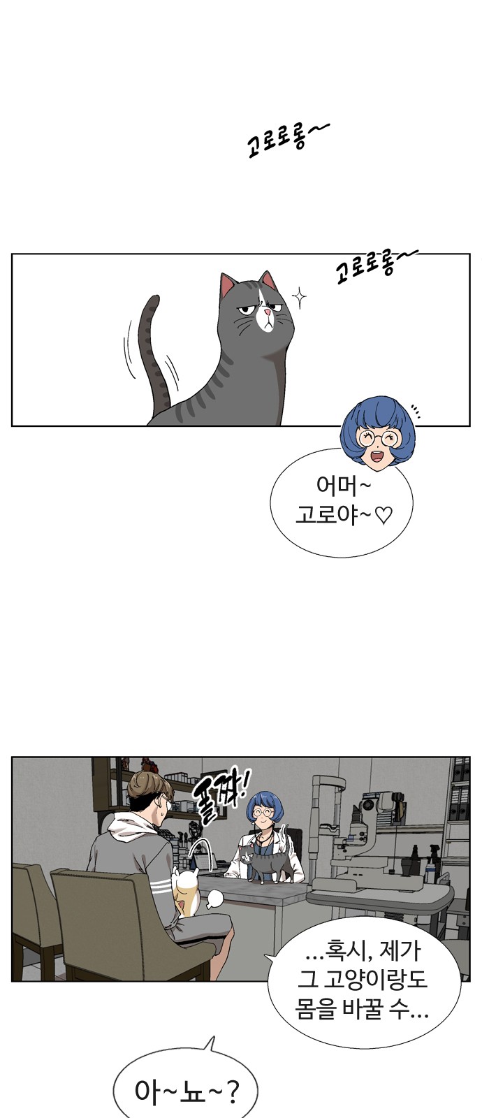 16 페이지