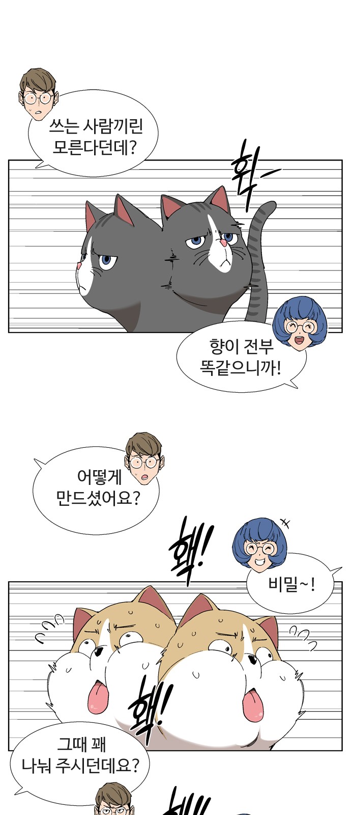 19 페이지