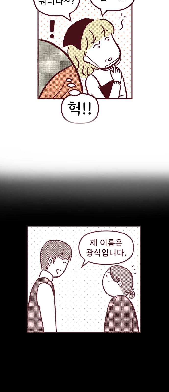46 페이지