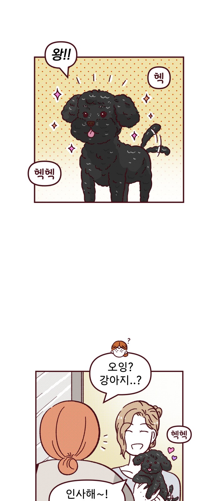 12 페이지