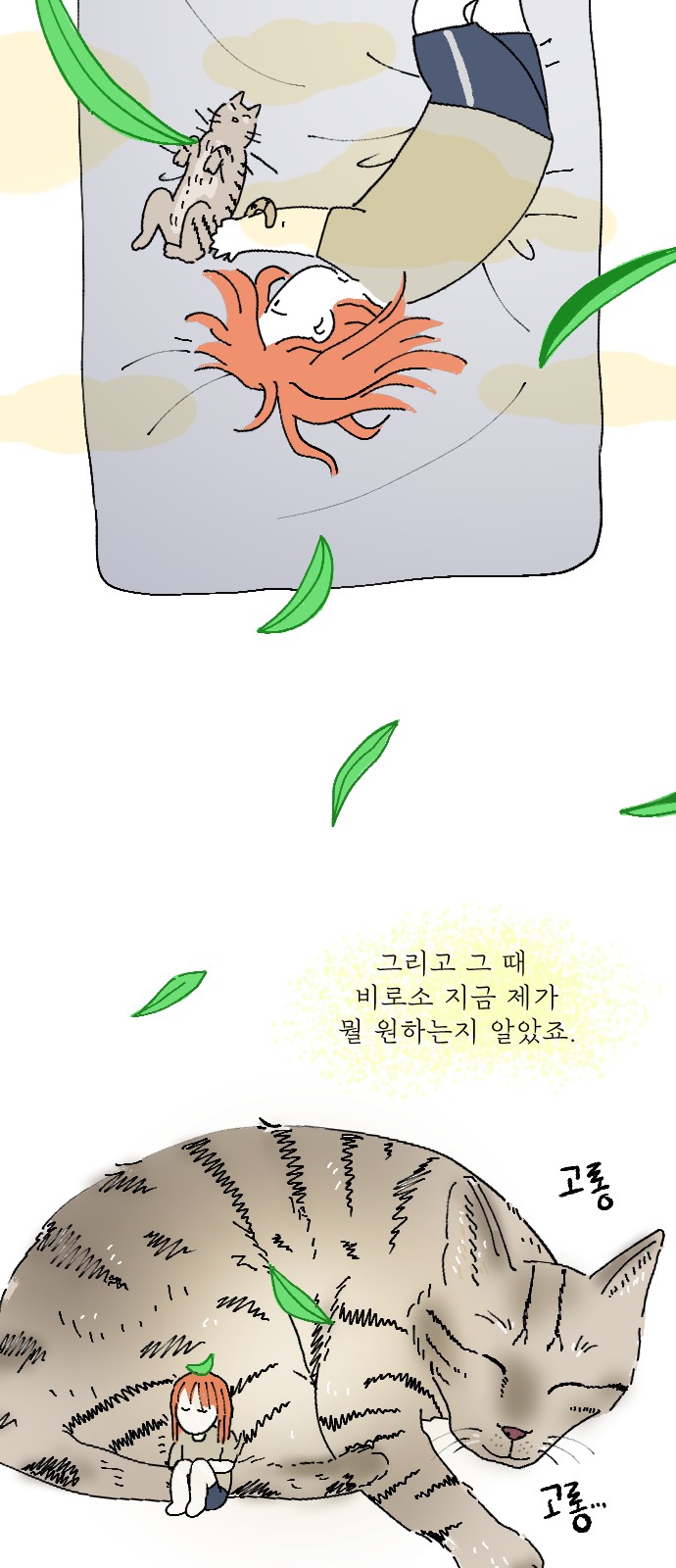 50 페이지