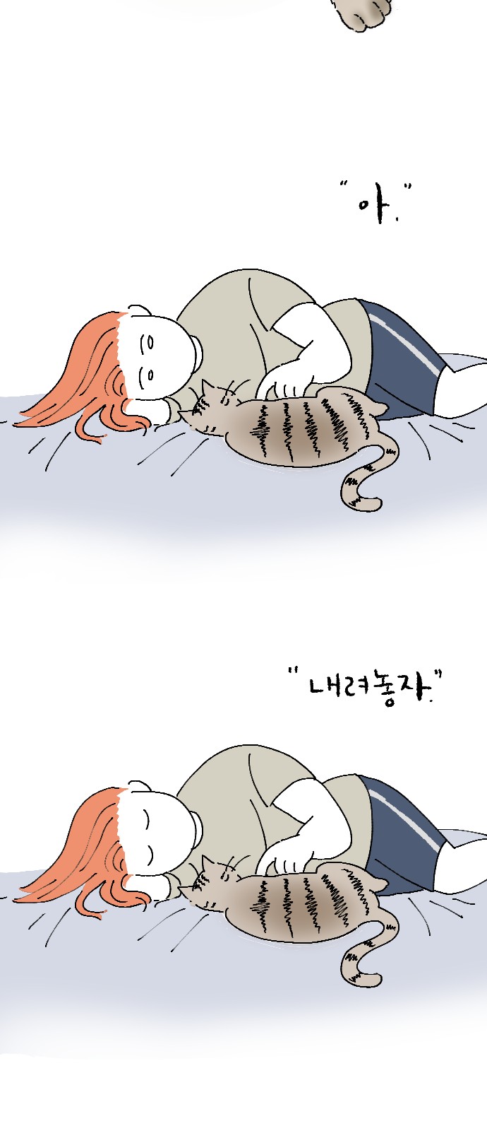 51 페이지