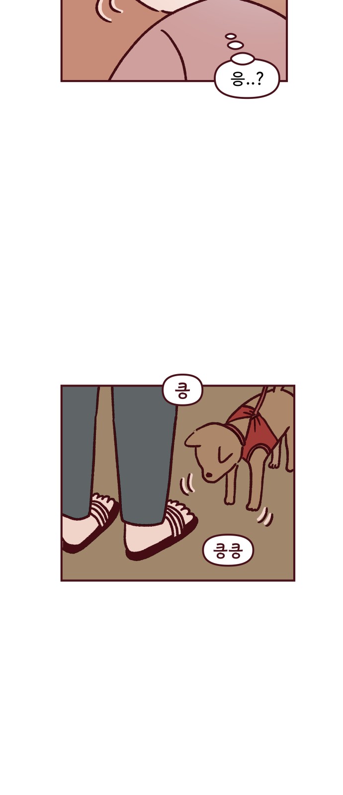48 페이지