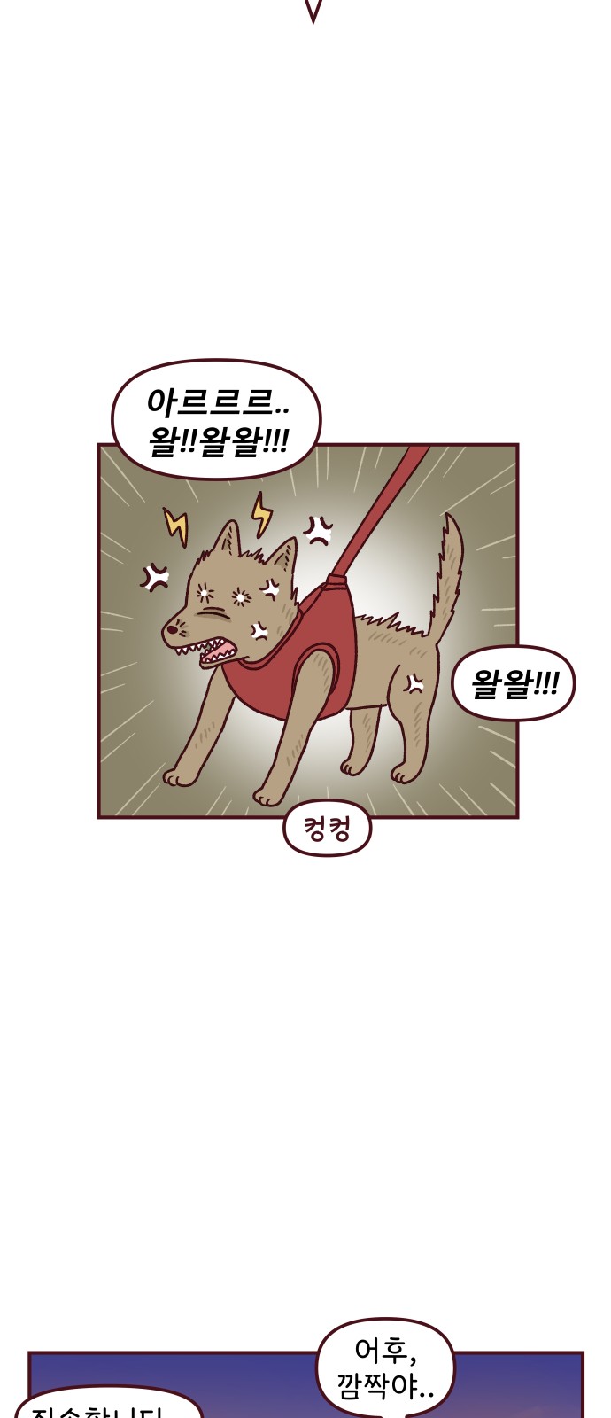 15 페이지