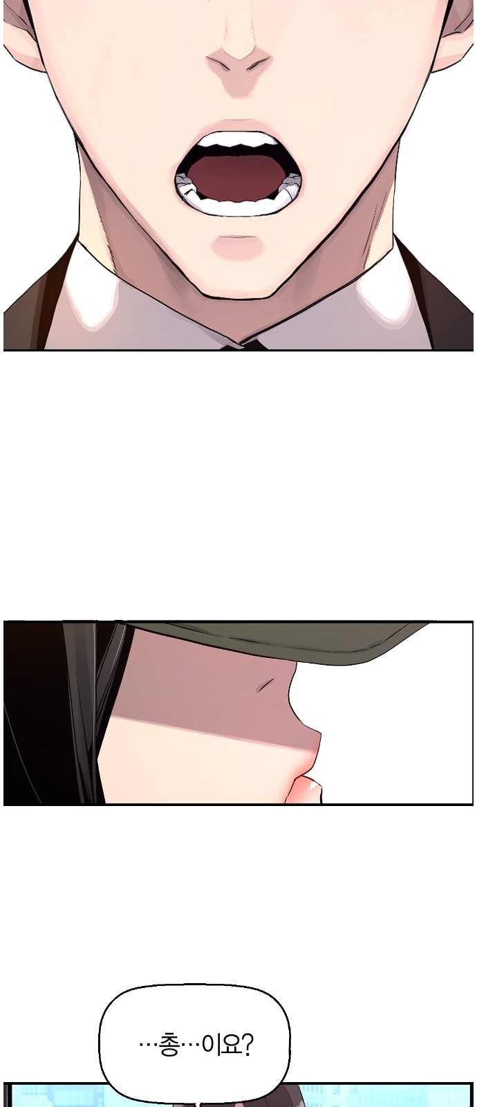 66 페이지