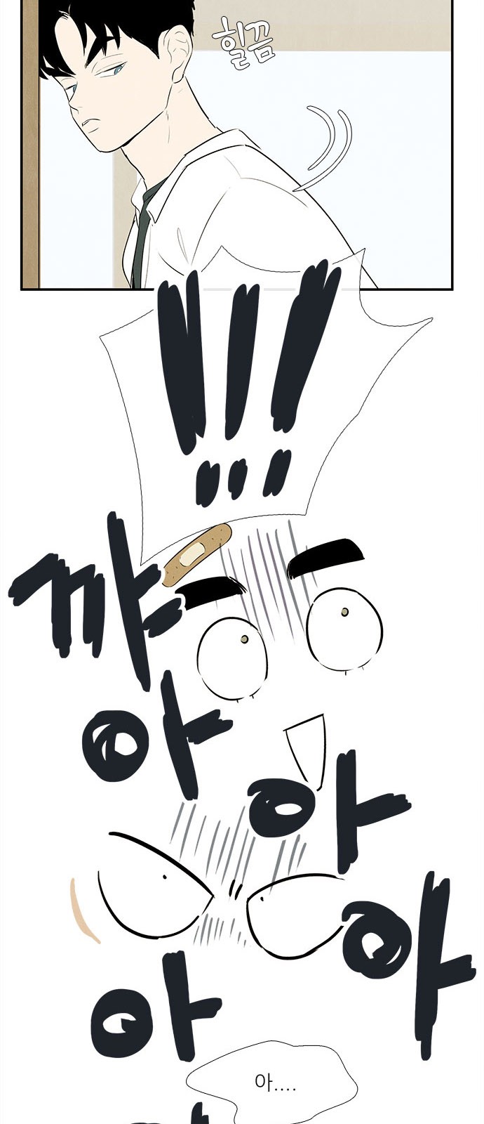 100 페이지