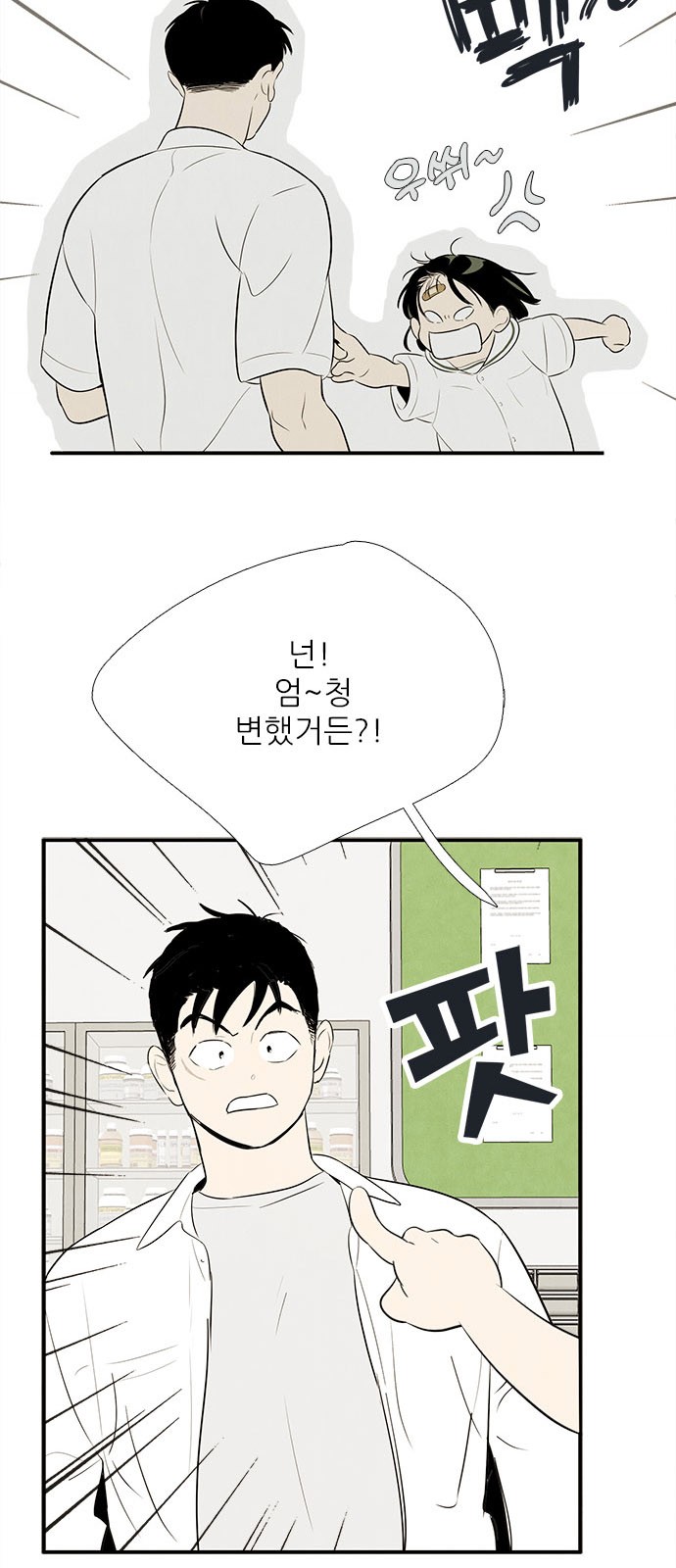 52 페이지