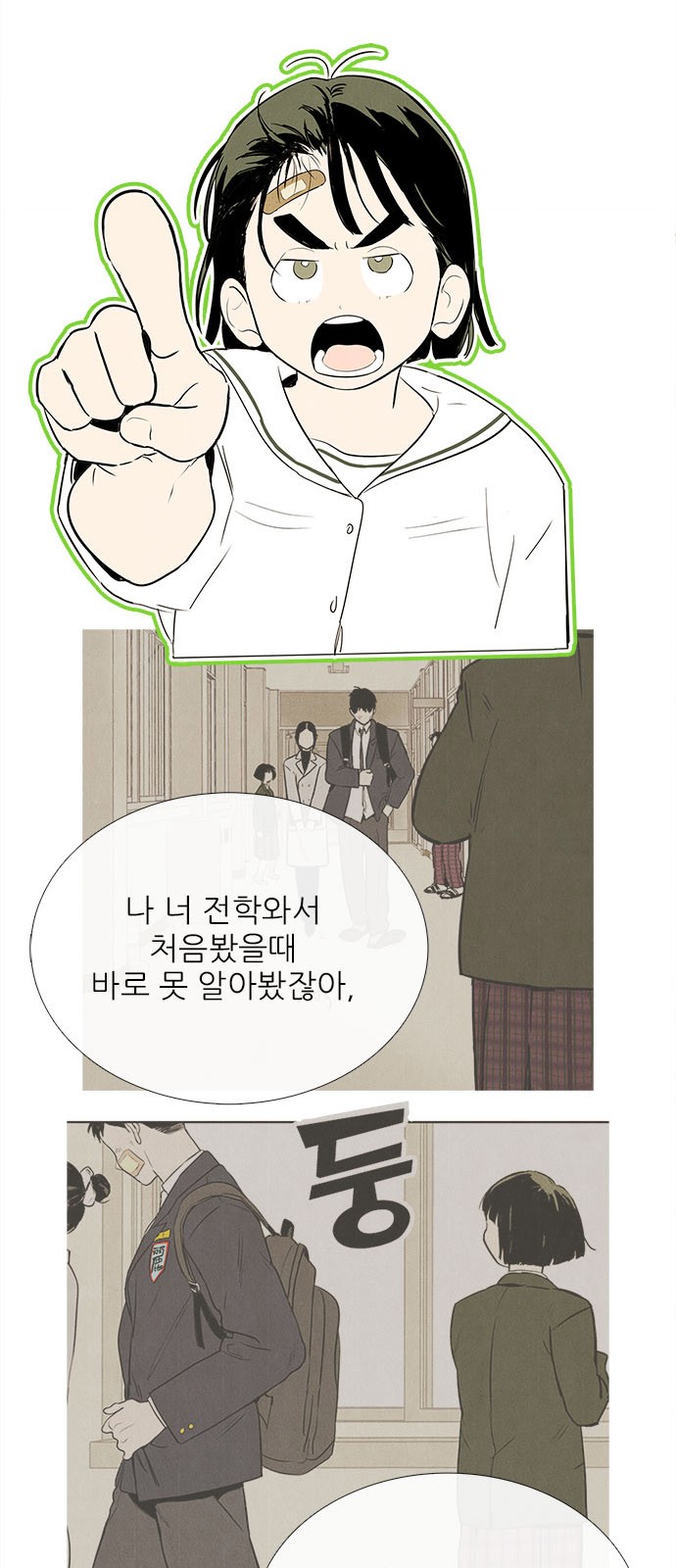 53 페이지