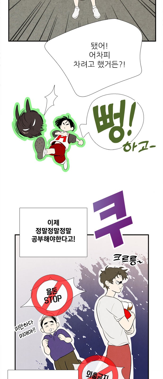 14 페이지