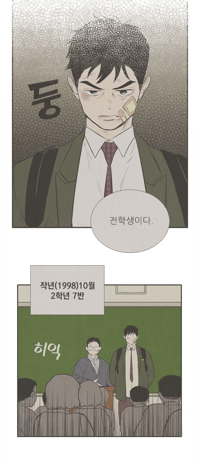 31 페이지
