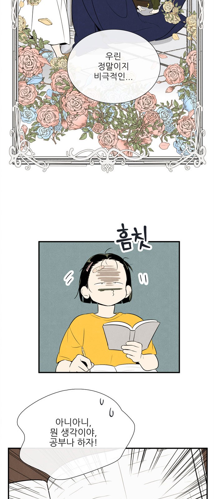 13 페이지