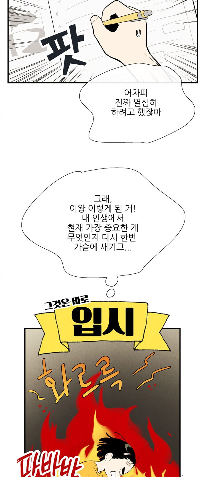 14 페이지