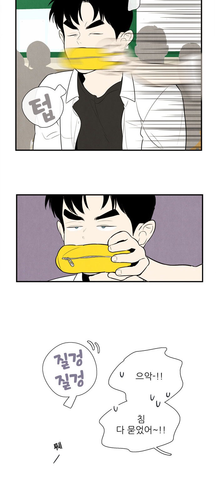 20 페이지