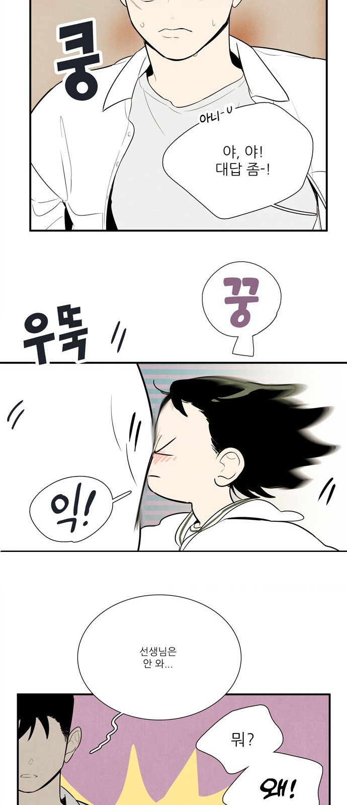 14 페이지