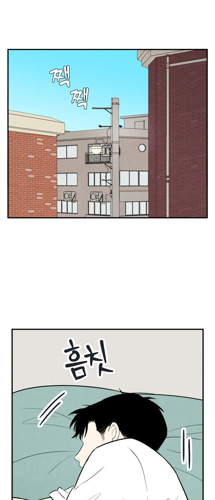 53 페이지