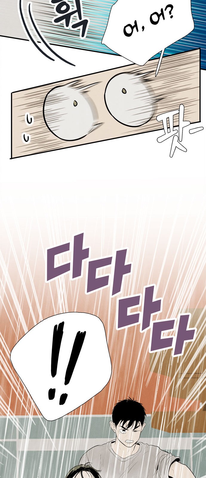 113 페이지