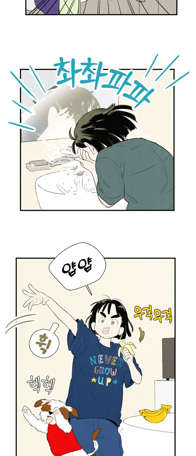 20 페이지