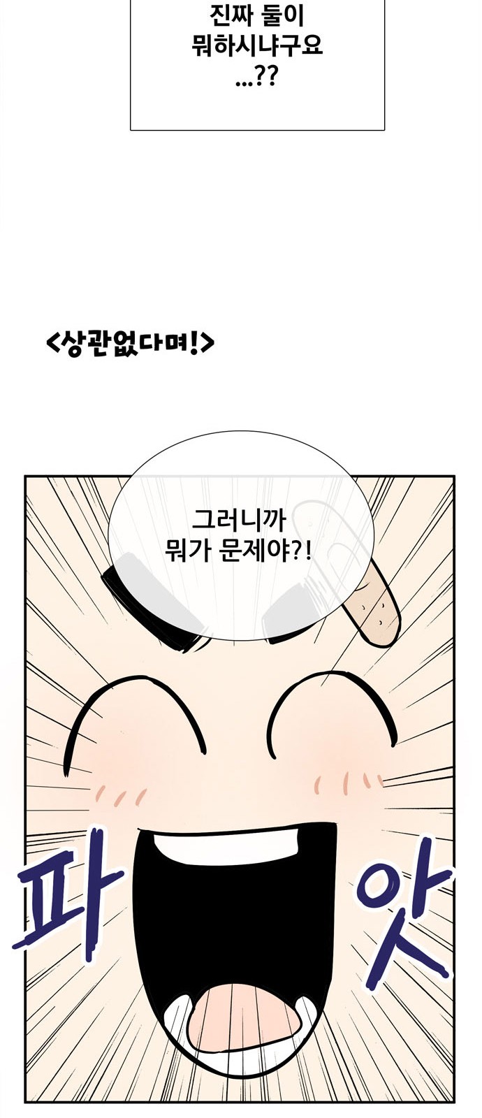 80 페이지