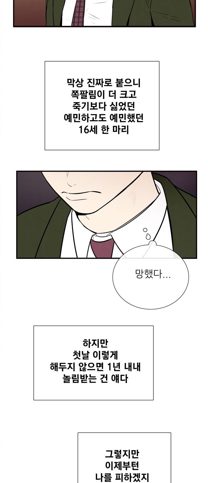 26 페이지