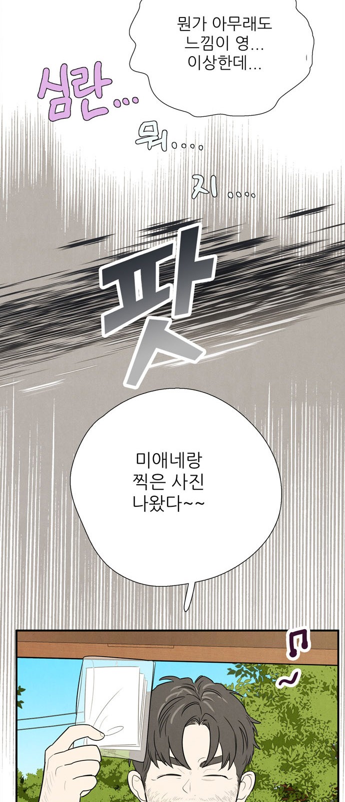194 페이지