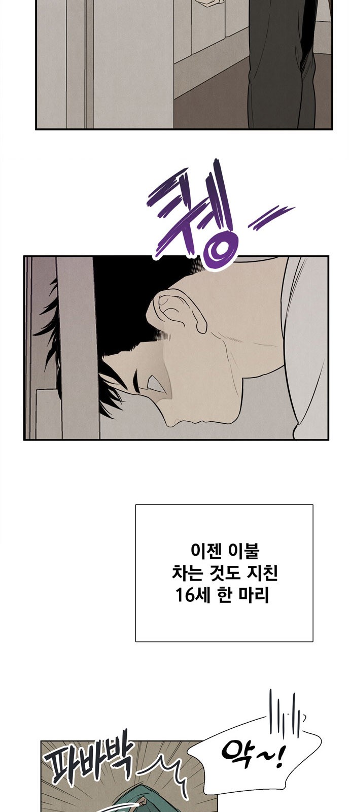 30 페이지