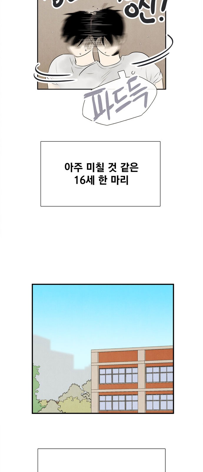 64 페이지