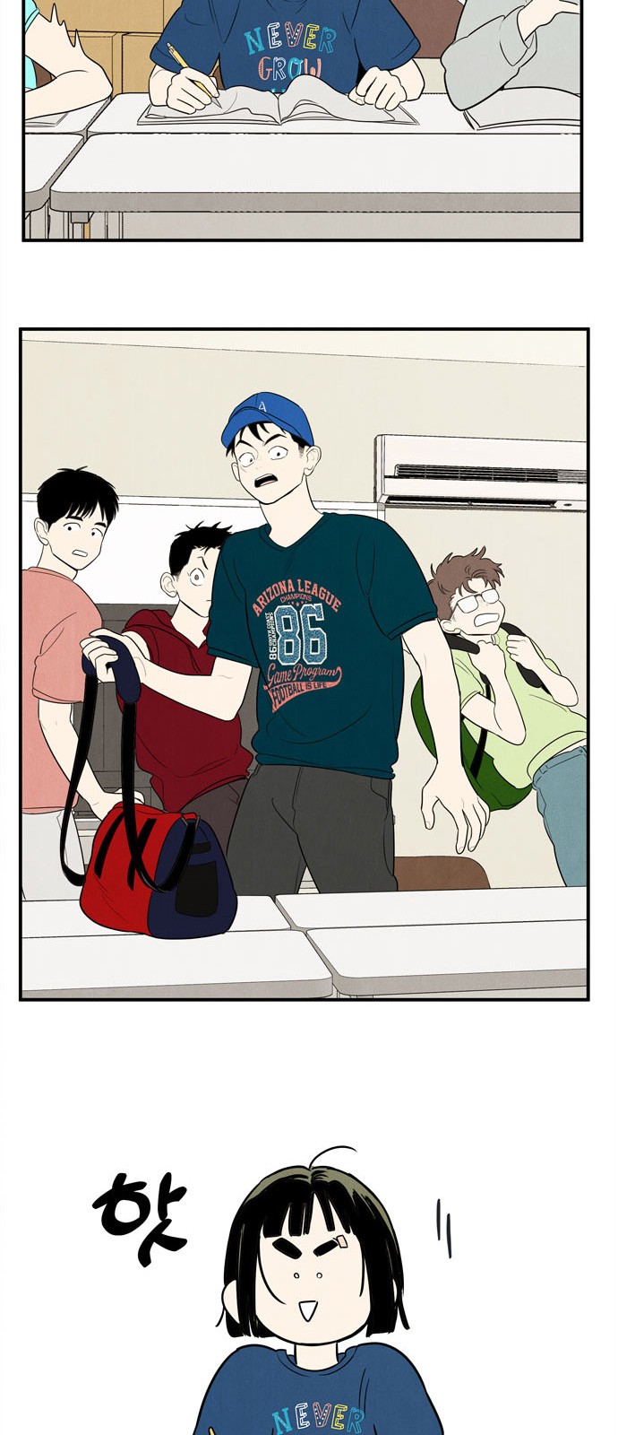 46 페이지
