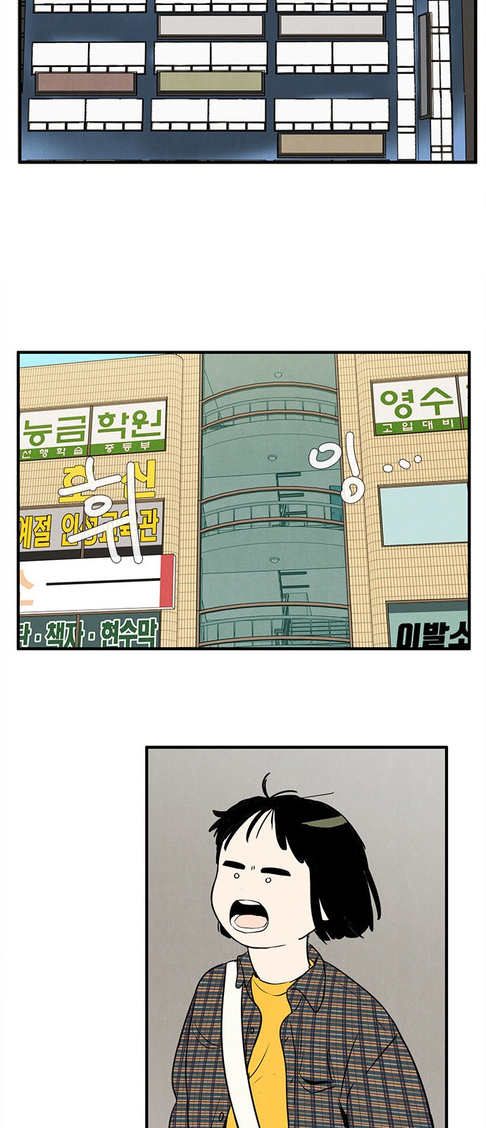 46 페이지