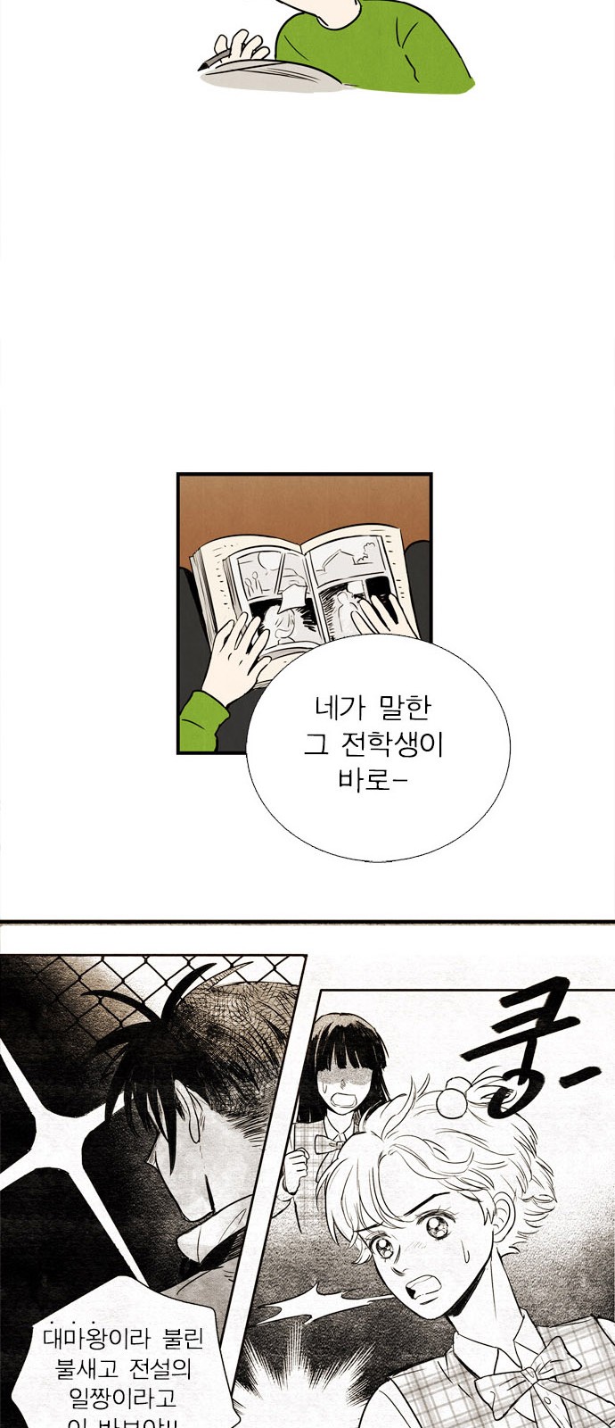 46 페이지