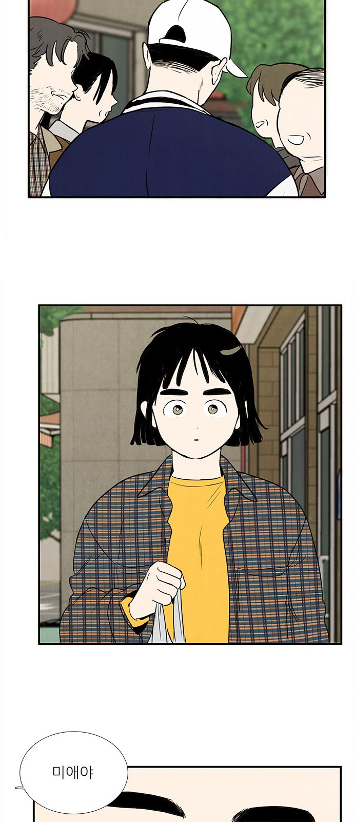 46 페이지