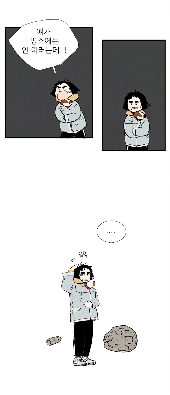 20 페이지