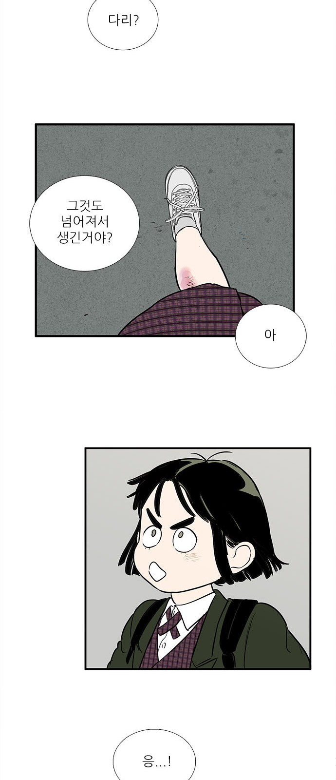 52 페이지