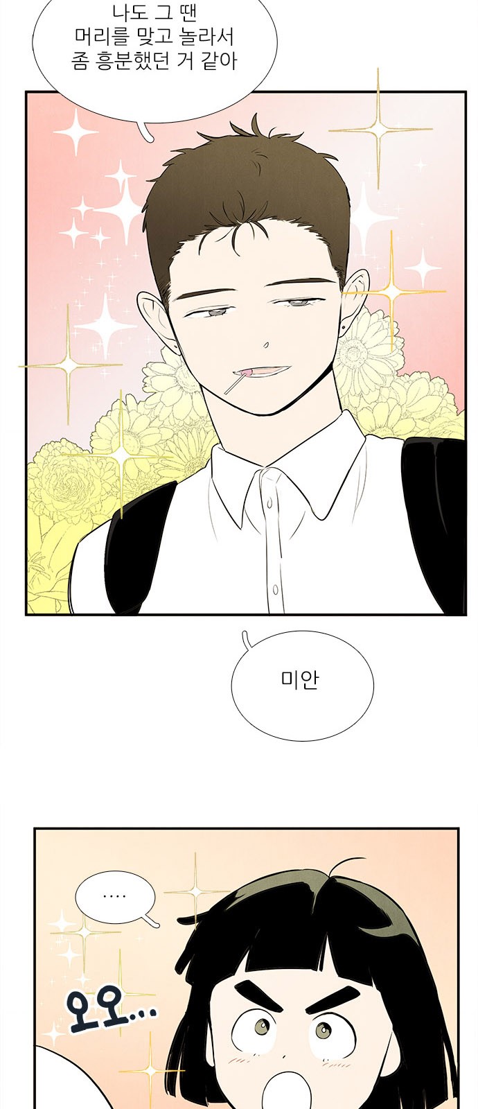 15 페이지