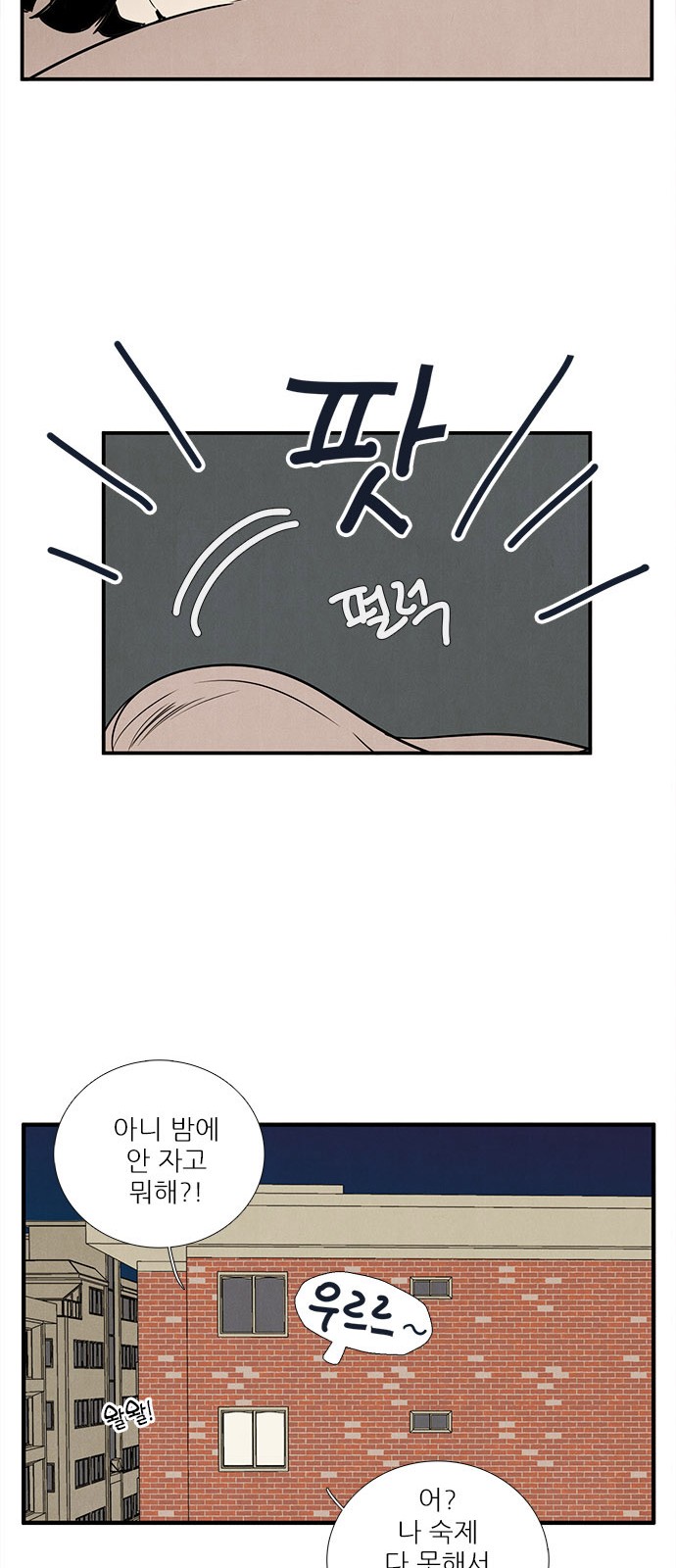 50 페이지