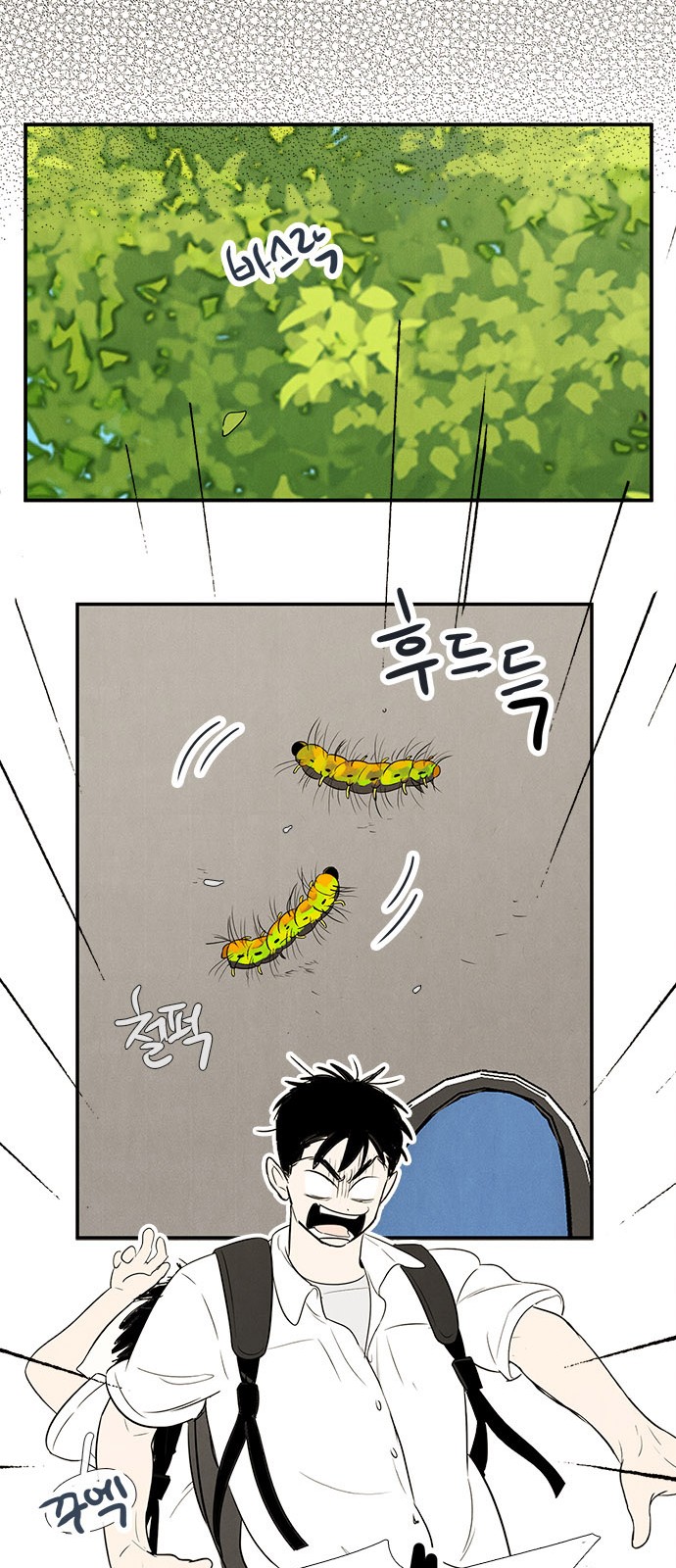 43 페이지