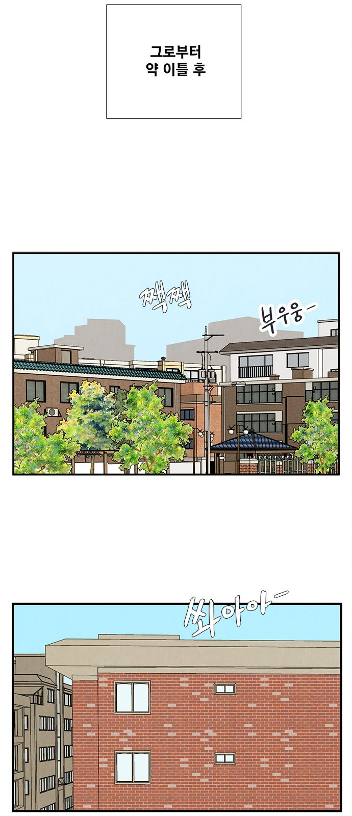 80 페이지