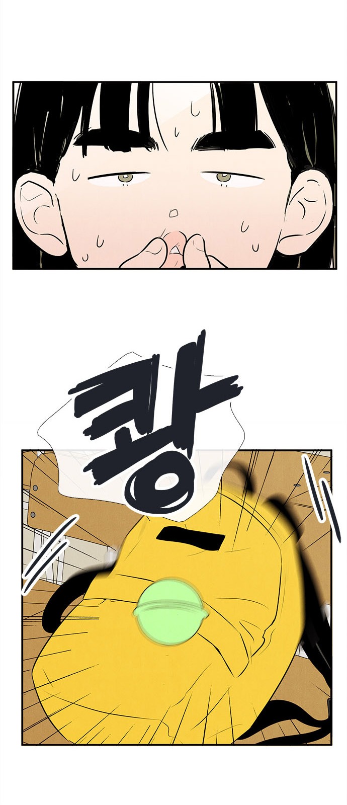 43 페이지