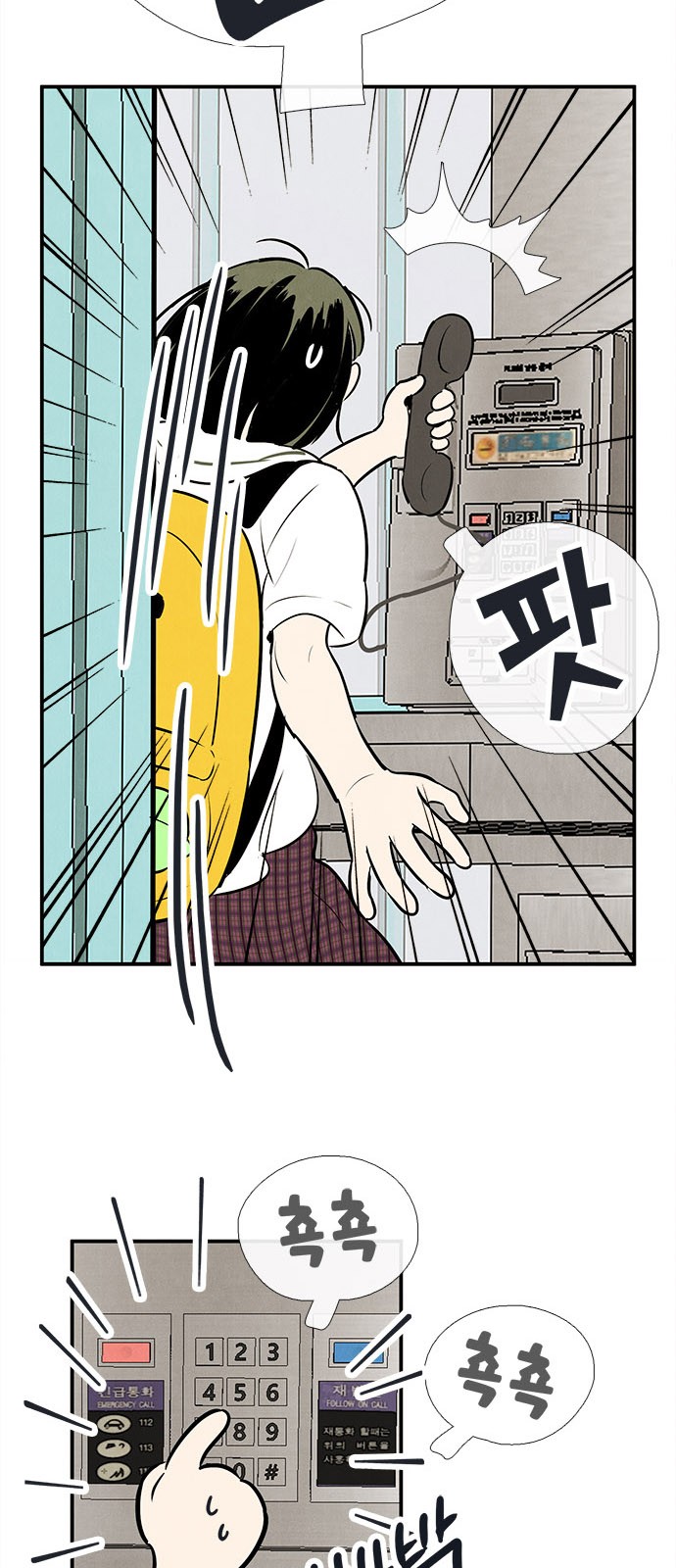 6 페이지