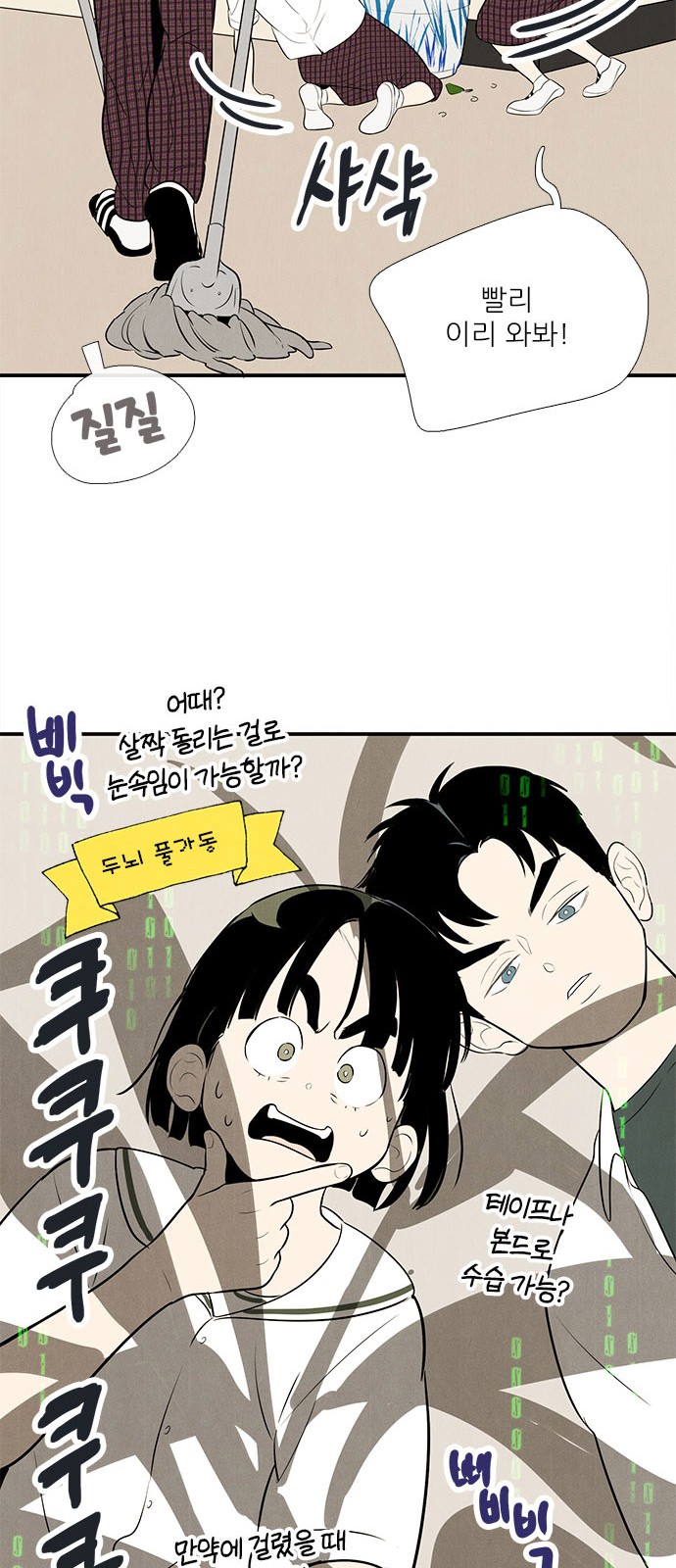 46 페이지