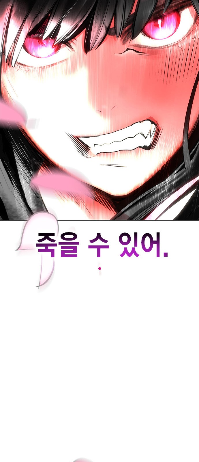 113 페이지