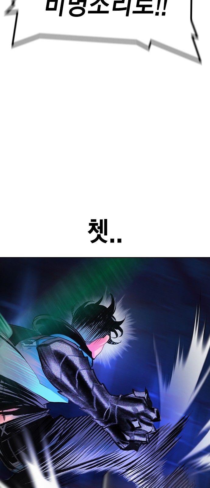 110 페이지