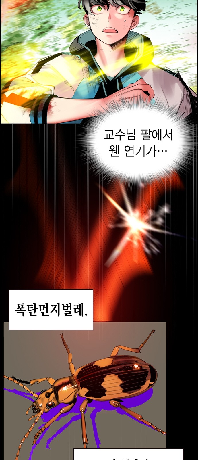 44 페이지